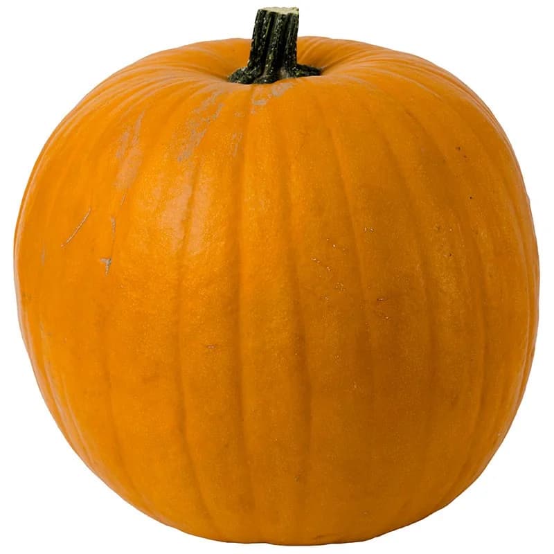 София Тера Груп Тиква Halloween от Ферма ~ 4.05 кг / бр