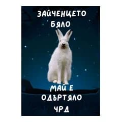 CRAZY STORE КАРТИЧКА ЗАЙЧЕНЦЕТО БЯЛО МАЙ Е ОДЪРТЯЛО, Техномаркет