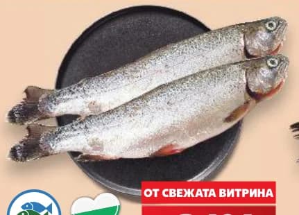 byala reka Бяла река Сьомгова пъстърва изчистена прясна, cheap.bg