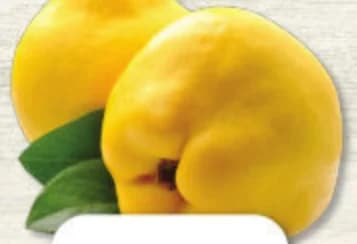 Дюля, ProMarket