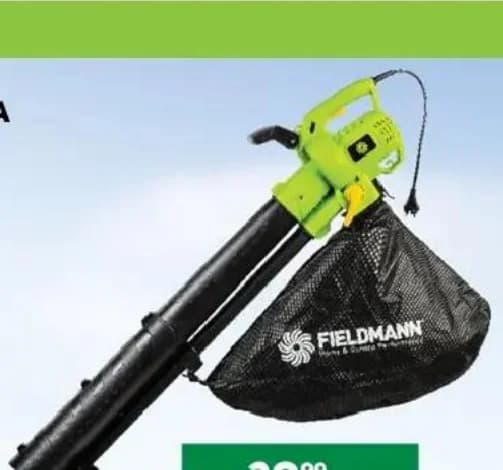 fieldmann Fieldmann Листосъбирач FZF 4030-E, Практикер