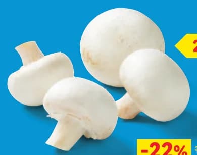 Печурки, Lidl