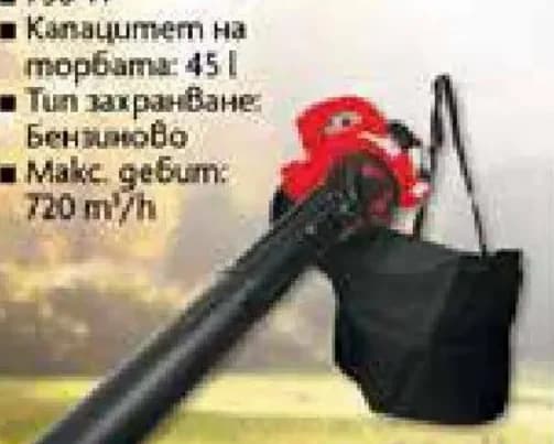 raider Raider Листосъбирач бензинов RD-GBV06 35582430, Практис