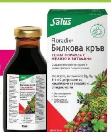 Floradix Salus FLORADIX БИЛКОВА КРЪВ сироп с желязо 250мл