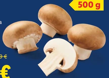 Кралски печурки, cheap.bg