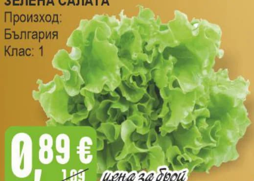 Зелена салата Клас 1, Бурлекс