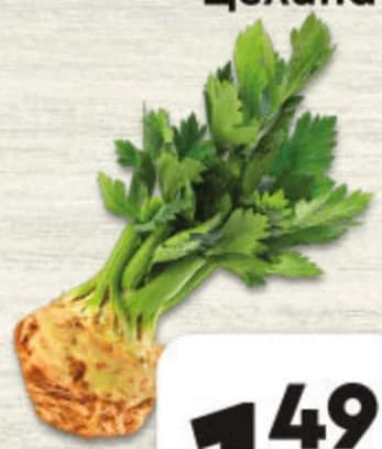 Целина, ProMarket