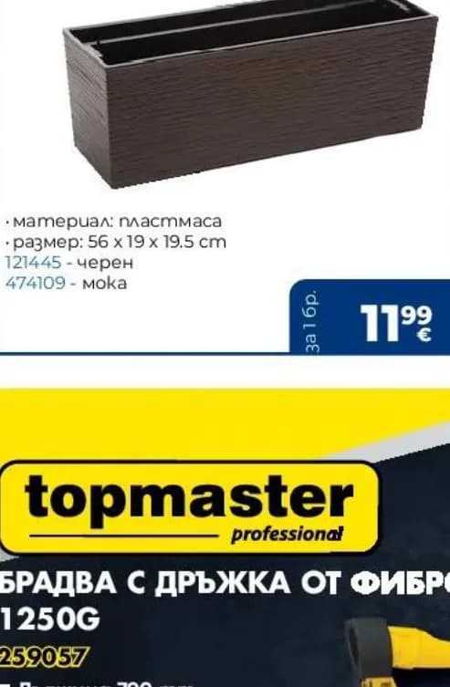 Сандъче БЕГОНИЯ, Практикер