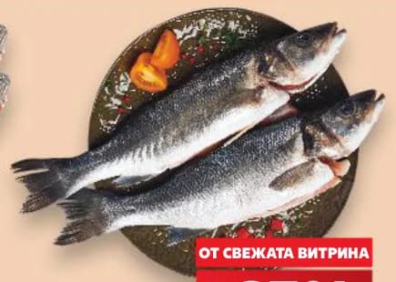 Лаврак изчистен пресен Турция, cheap.bg