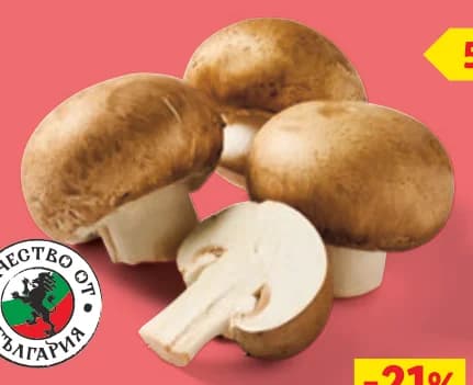 Български кралски печурки, cheap.bg