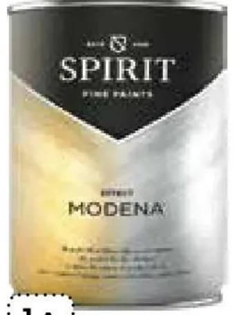 spirit SPIRIT Декоративно покритие Modena Silver, Практис