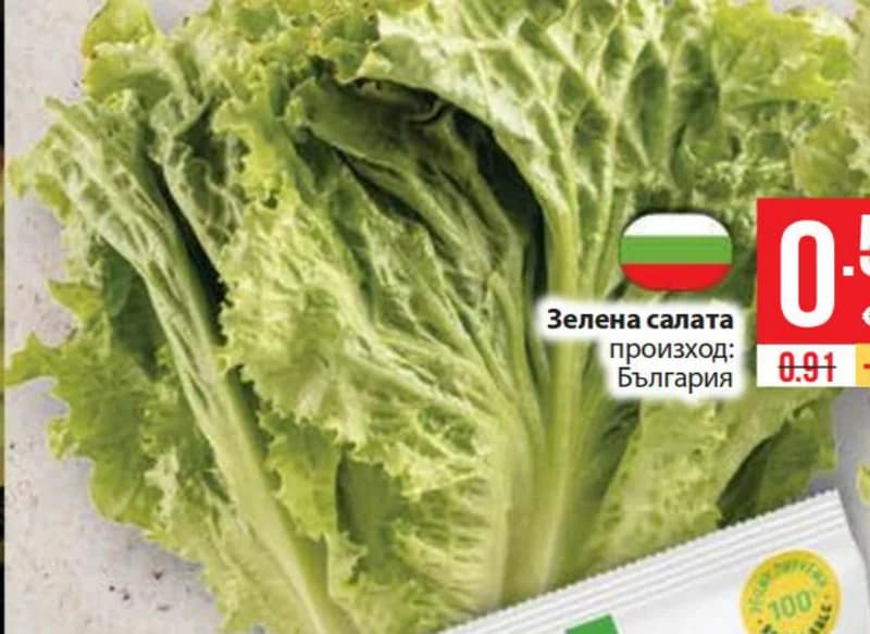 Зелена салата, Fantastico