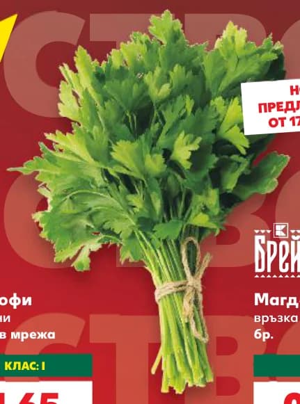 Брей Магданоз, Kaufland