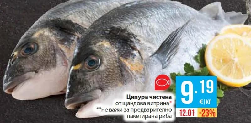 Циприна чистена от щандова витрина, Fantastico