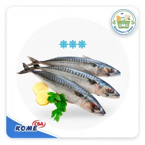 скумрия Морски дар 300/500 замразена кг, CBA