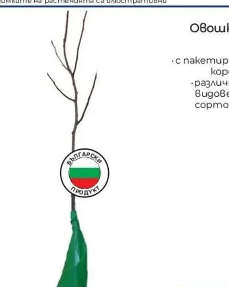Овошки с пакетиран корен
